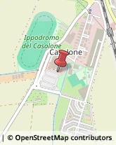 Centri di Benessere Grosseto,58100Grosseto