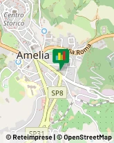 Notai Amelia,05022Terni