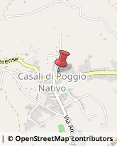 Articoli Natalizi Poggio Nativo,02030Rieti