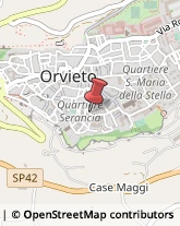 Fiere, Saloni e Mostre - Enti Organizzatori Orvieto,05018Terni