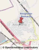 Piante e Fiori - Dettaglio Attigliano,05012Terni
