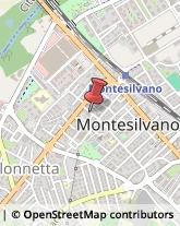 Organizzazioni, Associazioni ed Enti Internazionali Montesilvano,65016Pescara