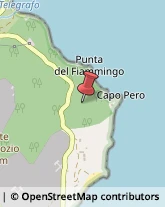 Campeggi, Villaggi Turistici e Ostelli,57038Livorno