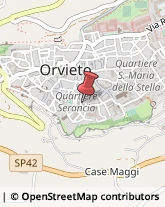 Psicologi Orvieto,05018Terni