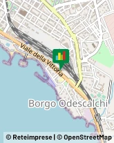 Caccia e Pesca Articoli - Ingrosso e Produzione Civitavecchia,00053Roma