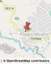 Ottica, Occhiali e Lenti a Contatto - Dettaglio Poggio Moiano,02037Rieti