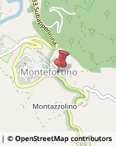 Farmacie Montefortino,63858Fermo