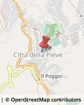 Ottica, Occhiali e Lenti a Contatto - Dettaglio Città della Pieve,06062Perugia