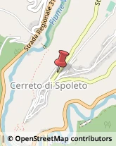 Elaborazione Dati - Servizio Conto Terzi Cerreto di Spoleto,06041Perugia