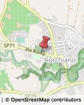 Pratiche Automobilistiche Corchiano,01030Viterbo