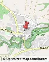 Piante e Fiori - Dettaglio Corchiano,01030Viterbo