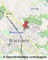 Aziende Agricole Bracciano,00062Roma