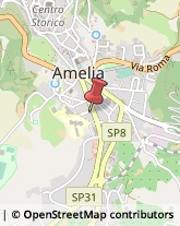 Sartorie Amelia,05022Terni
