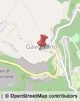 Agenti e Rappresentanti di Commercio Gavorrano,58023Grosseto