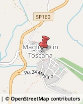 Cantine Sociali Magliano in Toscana,58051Grosseto