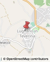 Alimenti Dietetici - Dettaglio Lugnano in Teverina,05020Terni