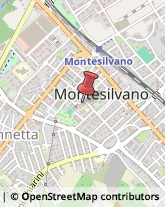 Medie - Scuole Private Montesilvano,65015Pescara