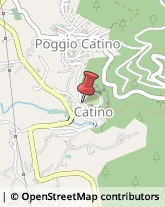 Bar e Caffetterie Poggio Catino,02040Rieti