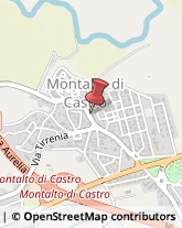 Consulenza Commerciale Montalto di Castro,01014Viterbo