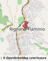 Fiorai - Forniture ed Accessori Rignano Flaminio,00068Roma