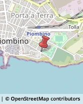 Demolizioni e Scavi Piombino,57128Livorno