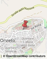 Avvocati Orvieto,05018Terni