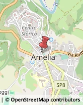 Spezie Amelia,05022Terni