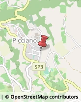 Macellerie Picciano,65010Pescara