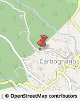 Farmacie Carbognano,01032Viterbo