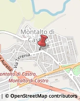 Numismatica Montalto di Castro,01014Viterbo