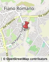 Giardinaggio - Servizio Fiano Romano,00065Roma