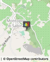 Biblioteche Private e Pubbliche Montopoli di Sabina,02034Rieti