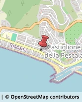 Franchising - Consulenza e Servizi Castiglione della Pescaia,58043Grosseto