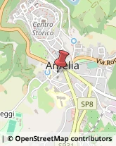 Studi Consulenza - Amministrativa, Fiscale e Tributaria,05022Terni