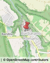 Alimentari Barbarano Romano,01010Viterbo