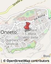 Odontoiatri e Dentisti - Medici Chirurghi Orvieto,05018Terni