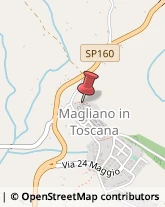 Istituti di Bellezza Magliano in Toscana,58051Grosseto