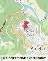 Cereali e Granaglie Amelia,05022Terni