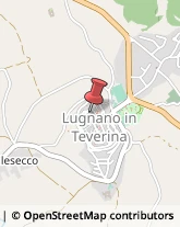 Cartolerie Lugnano in Teverina,05020Terni