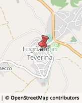 Commercialisti Lugnano in Teverina,05020Terni