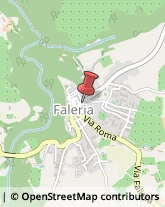 Falegnami Faleria,01030Viterbo