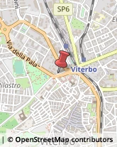 Salotti Viterbo,01100Viterbo