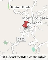 Aziende Agricole Montalto delle Marche,63030Ascoli Piceno