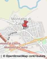 Numismatica Montalto di Castro,01014Viterbo