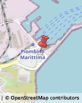 Porti e Servizi Portuali Piombino,57025Livorno