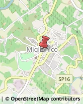 Porcellane - Dettaglio Miglianico,66010Chieti