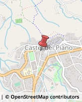 Agenzie Immobiliari Castel del Piano,58033Grosseto