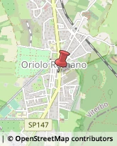 Ottica, Occhiali e Lenti a Contatto - Dettaglio Oriolo Romano,01010Viterbo