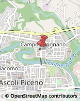 Andrologia - Medici Specialisti Ascoli Piceno,63100Ascoli Piceno