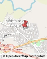Consulenza Commerciale Montalto di Castro,01014Viterbo